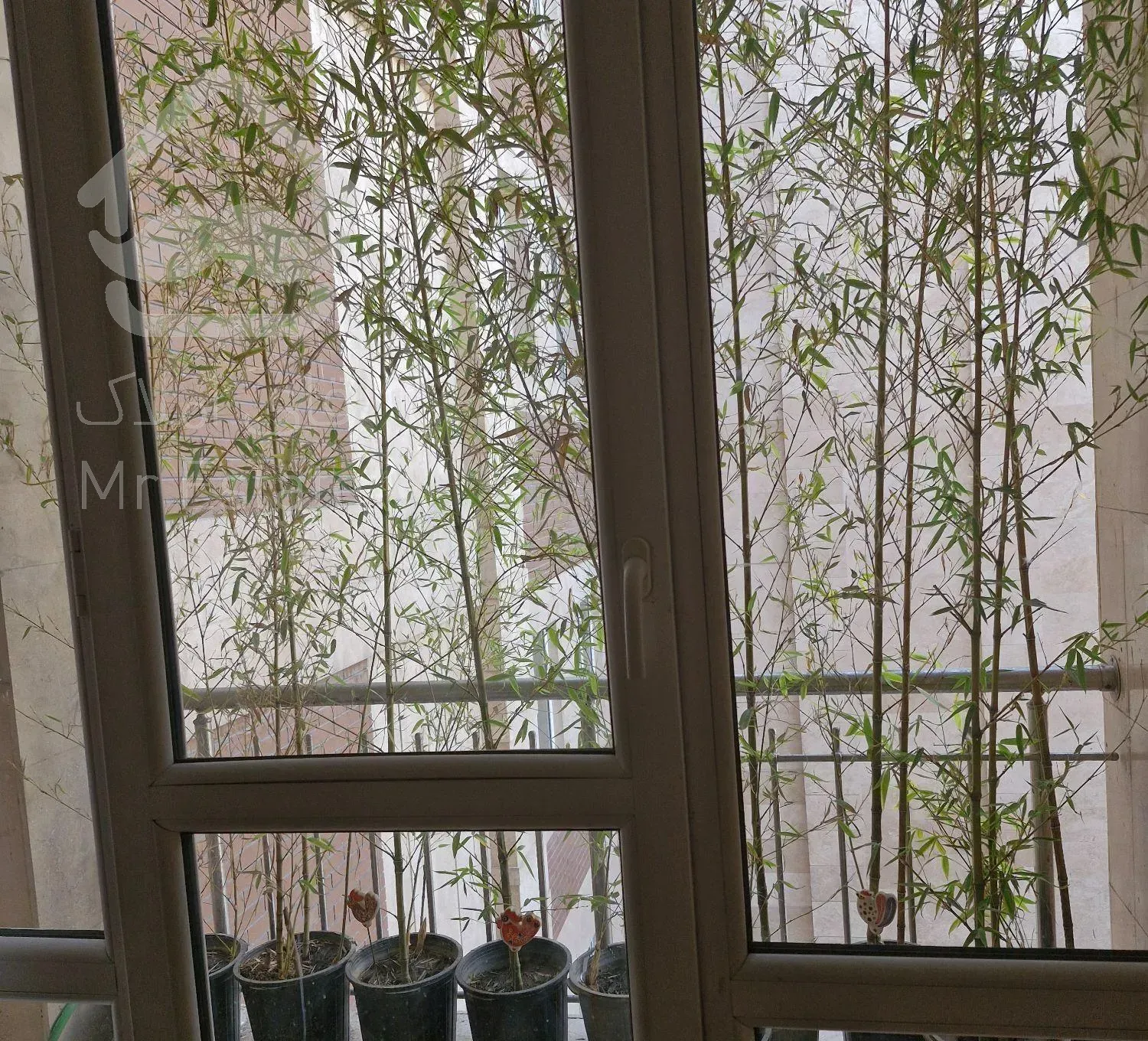 شمال کاخ ۸۵متر۲خواب فول امکانات/حتی مجرد