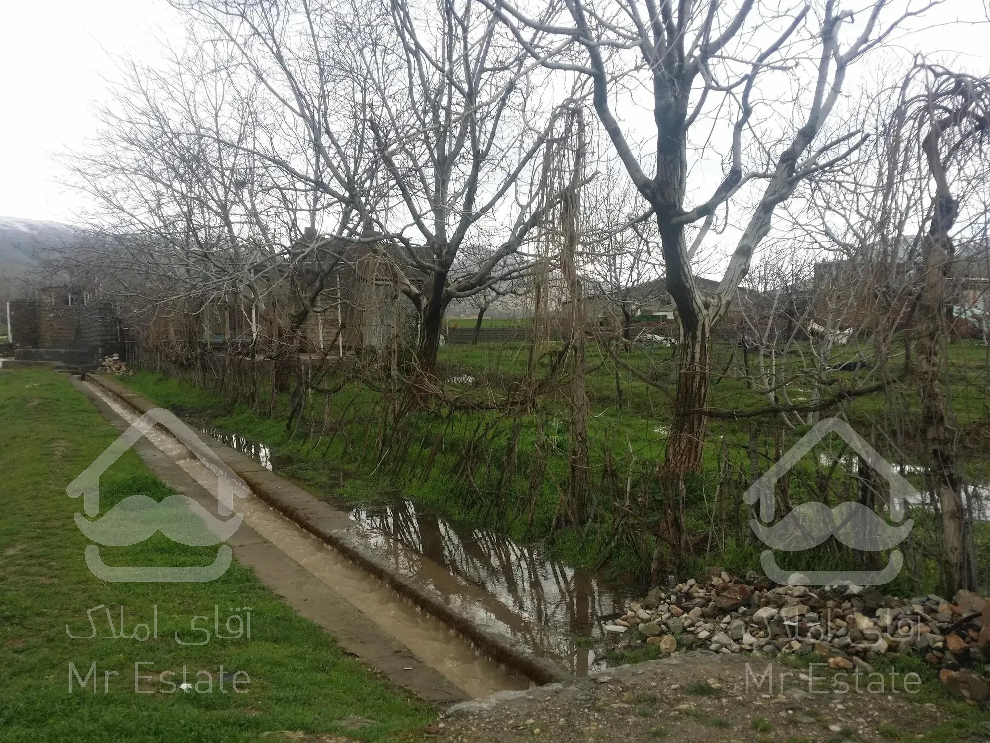 فروش زمین کشاورزی آبی - باغ با برق سه فاز شخصی در شهرستان صحنه