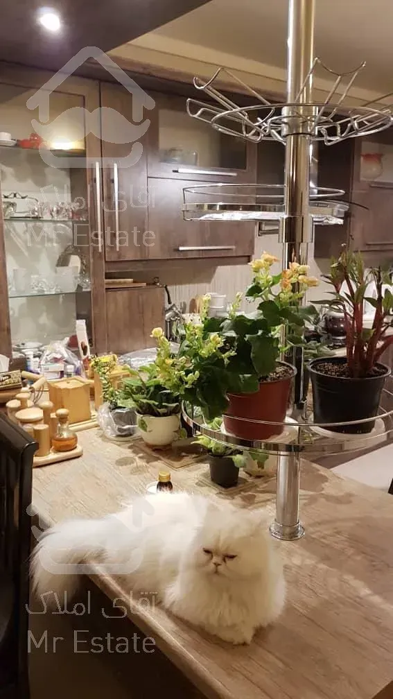 رهن ویلای ساحلی شمال