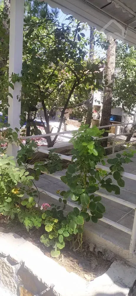 فروش فوری باغ