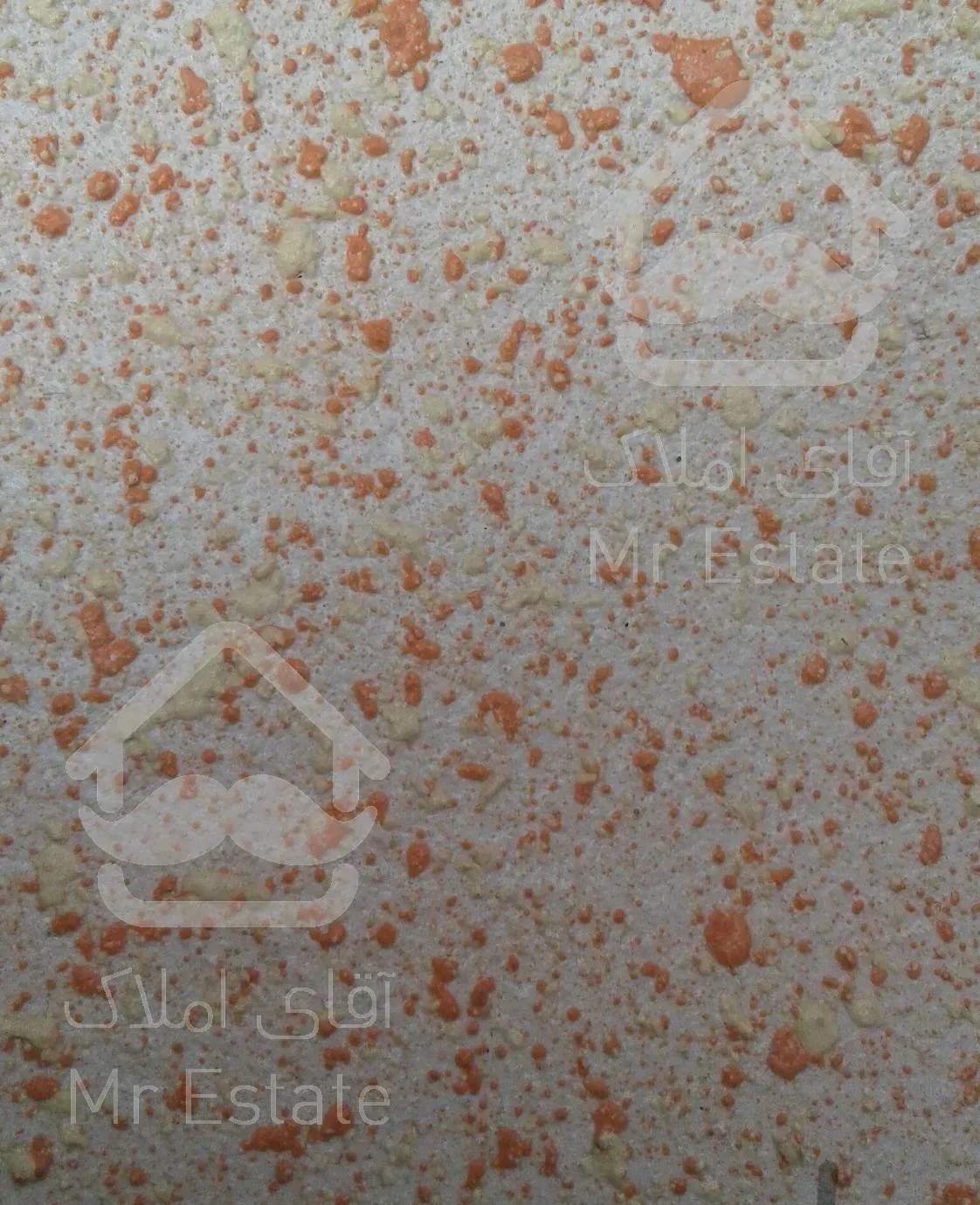 خدمات کنتکس وکنیتکس،نقاشی و رنگ نما