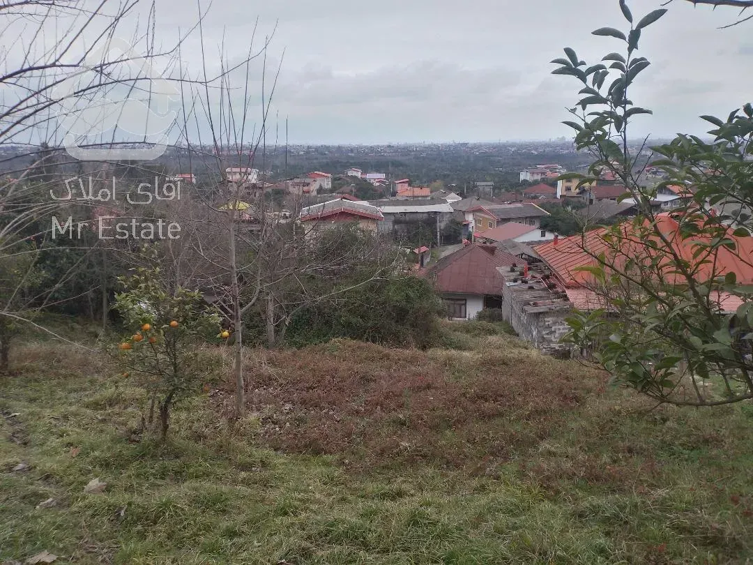 ۱۳۱۰متر زمین.سند۶دانگ.ویو ابدی .تنکابن سیاورز