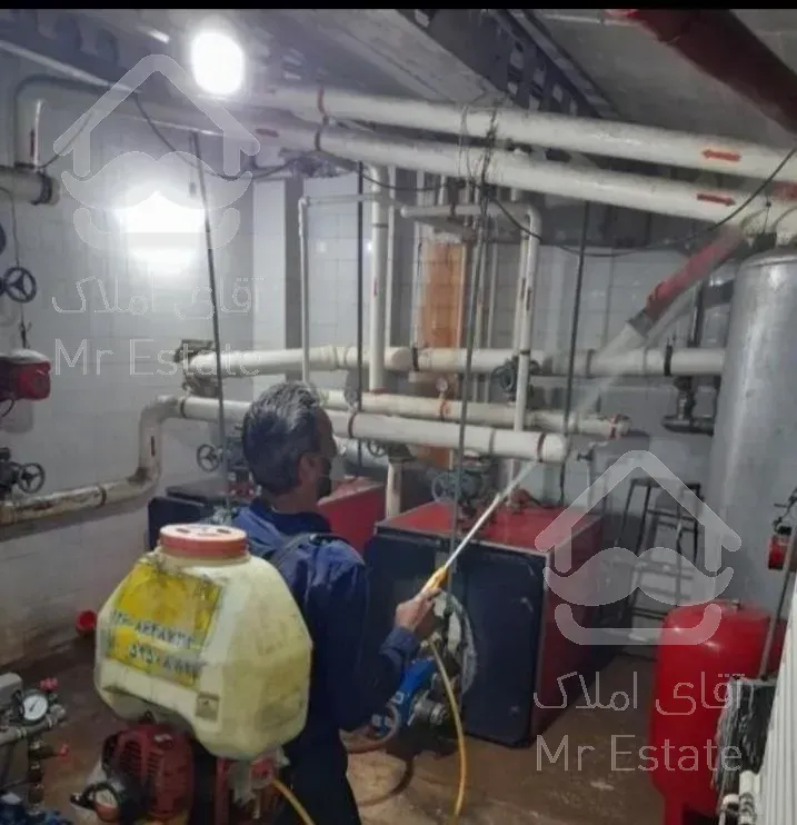 سمپاشی سوسک ساس و هشرات موزی