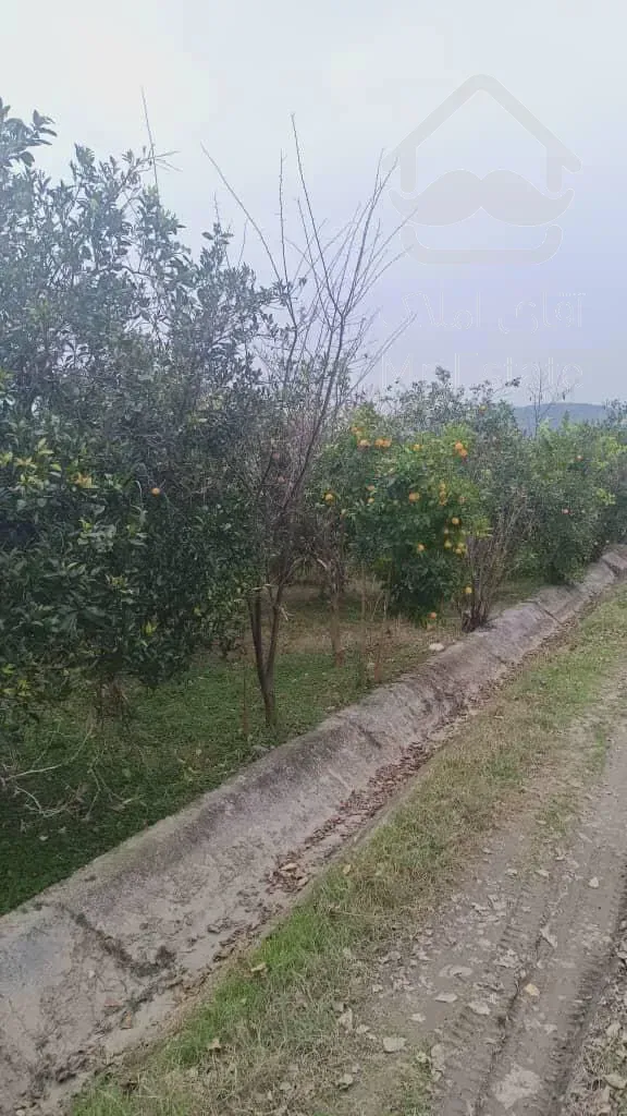 ۸۵۰ متر زمین در بابلکنار