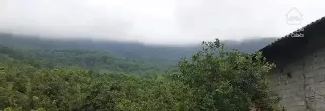 فروش ویلای ۵ هکتاری