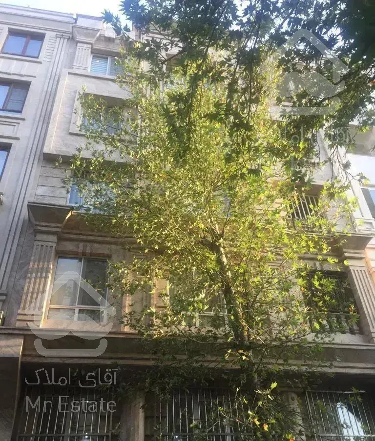 پونک بلوار کمالی ۱۵۰ متر سه خوابه