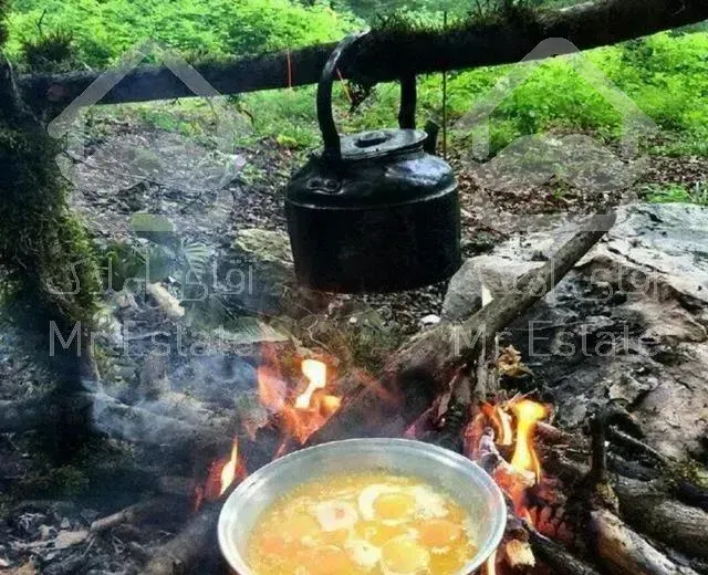 سوئیت‌کنار‌جنگل