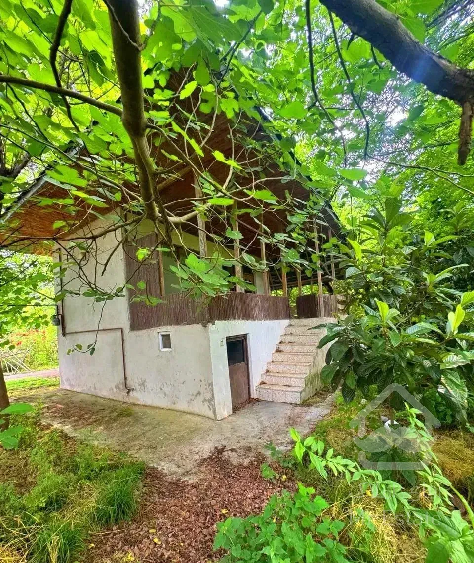 ۲۹۵ متر خانه محوطه جنگلی روستایی بنای سنتی