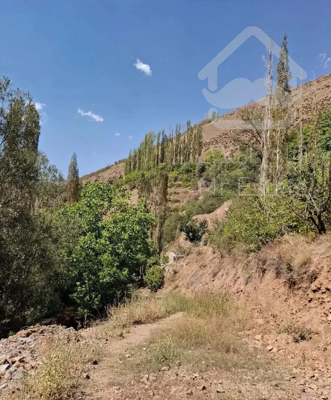 پیش فروش ویلا۳۵۰متر سوئیسی ۱۲۰ متر بنا دوخوابه
