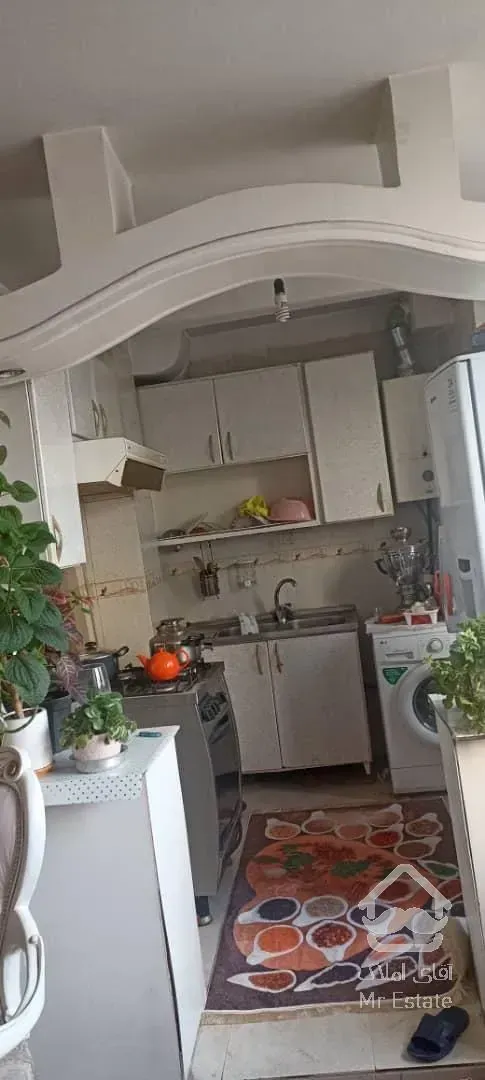 50 متر عروسک