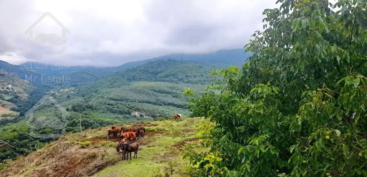 اجاره  ویلا چوبی باغی دربست