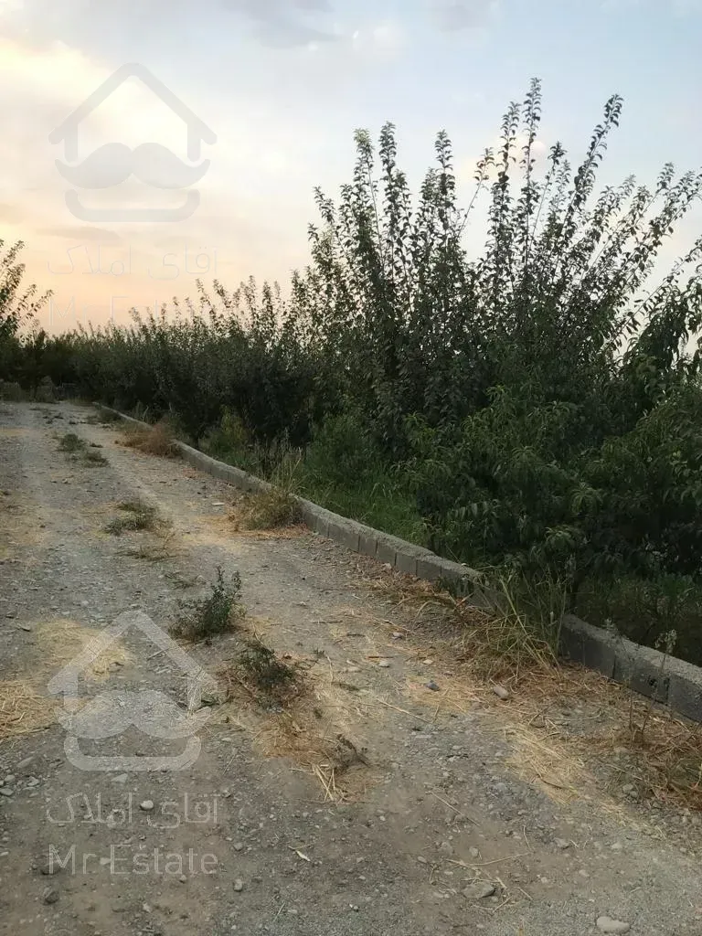 باغ 800 متری شهریار