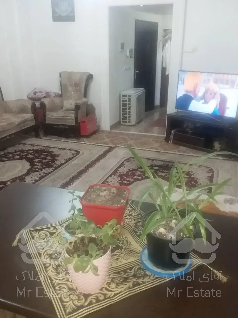 54متر تك خواب /عروسك