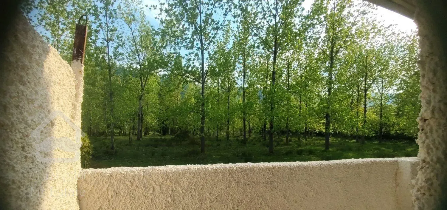 ویلا جنگلی  ۱۵۰ زمین ۸۰ بنا  نزدیک جنگل
