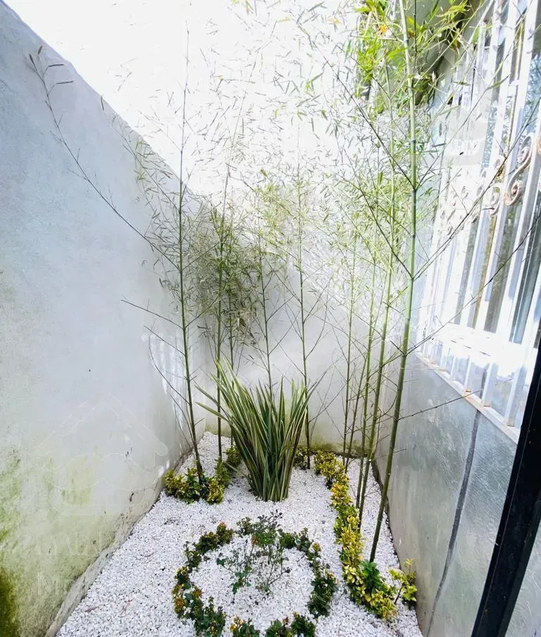 ویلا۲۱۰متری/سنددار/ساحلی زیبا کنار