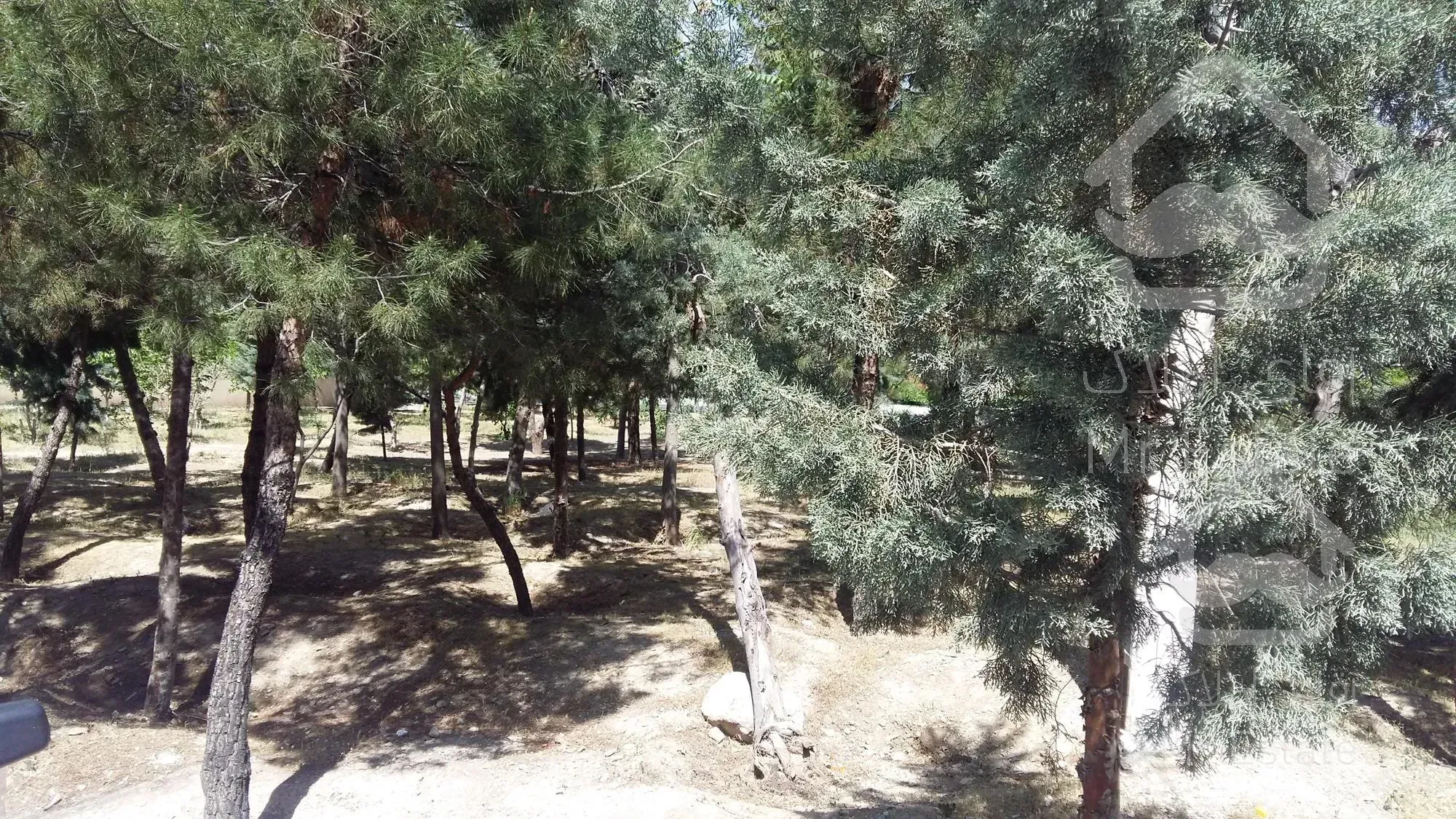 خرید و فروش کلنگی 353 متر بر 12 جنوبی شهران