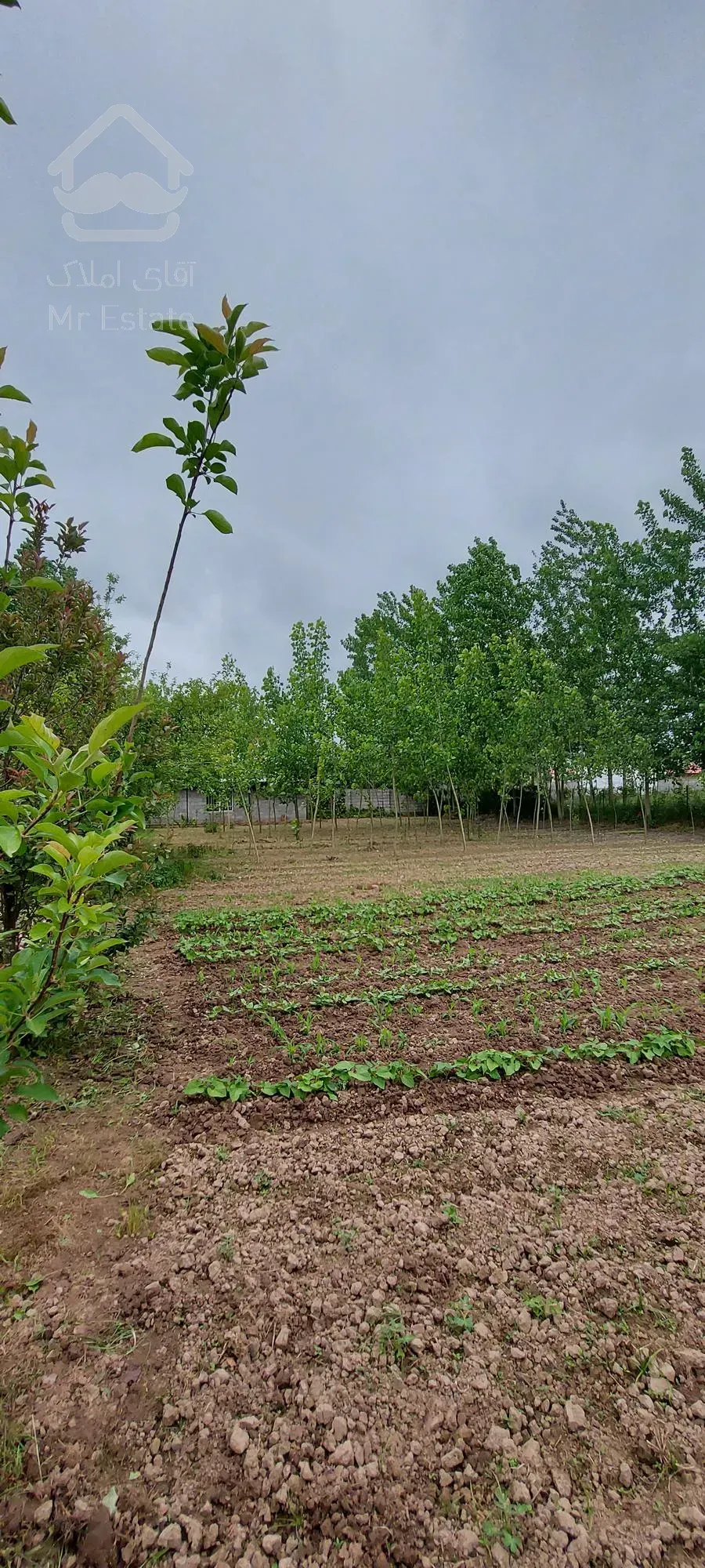 180متر ویلا داخل 3000 متر باغ فروش فوری