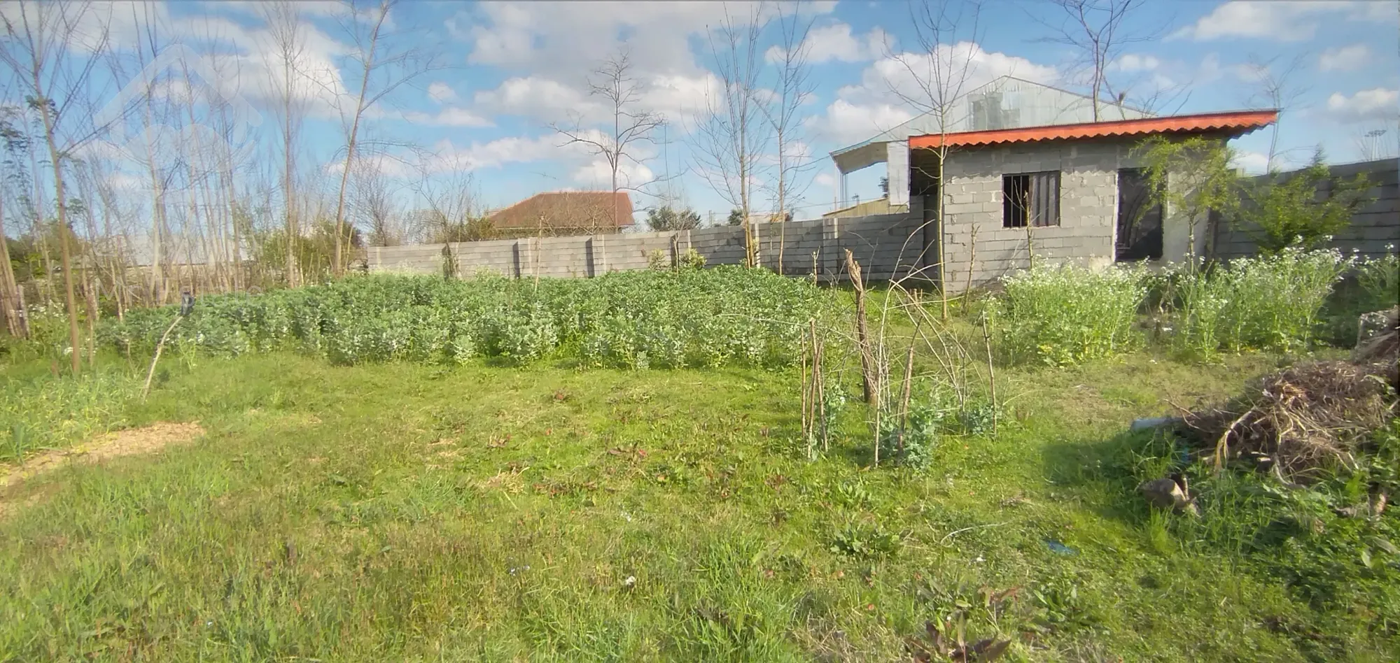 پانصدمتر و پنج دسیمتر زمین مسکونی شهری دارای سند تک برگ