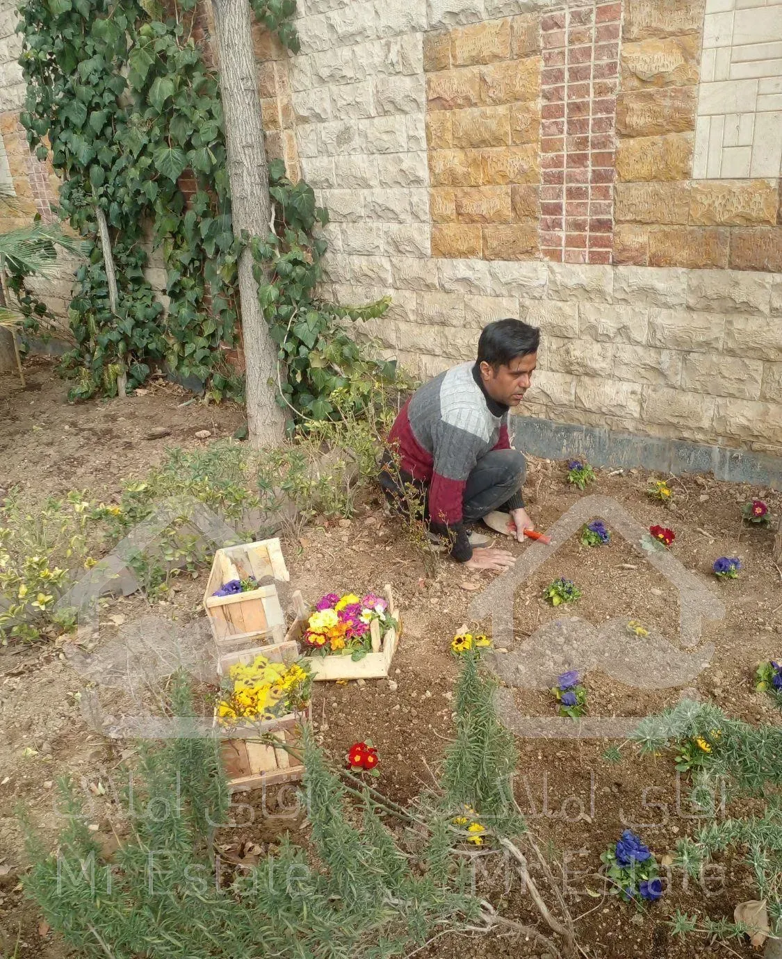 انجام کلیه کارهای باغبانی وسمپاشی بامهروفاکتور