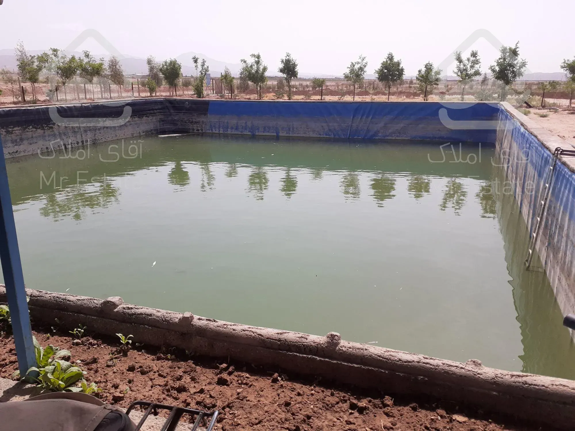 فروش باغ پسته و گلخانه