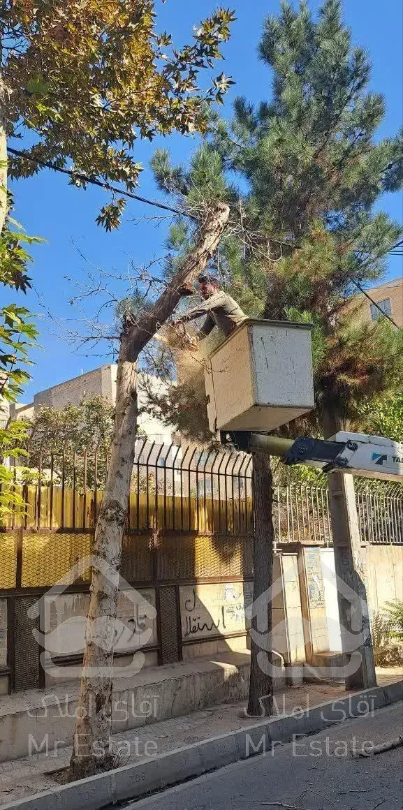 باغبانی . کاشت، حفظ ونگهداری گل و گیاه