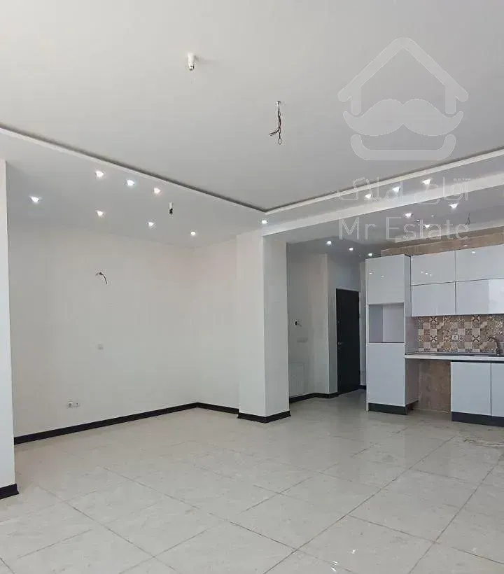 مرجع دولتی خریدوسرمایه گذاری ،دریاچه چیتگر،وام دار