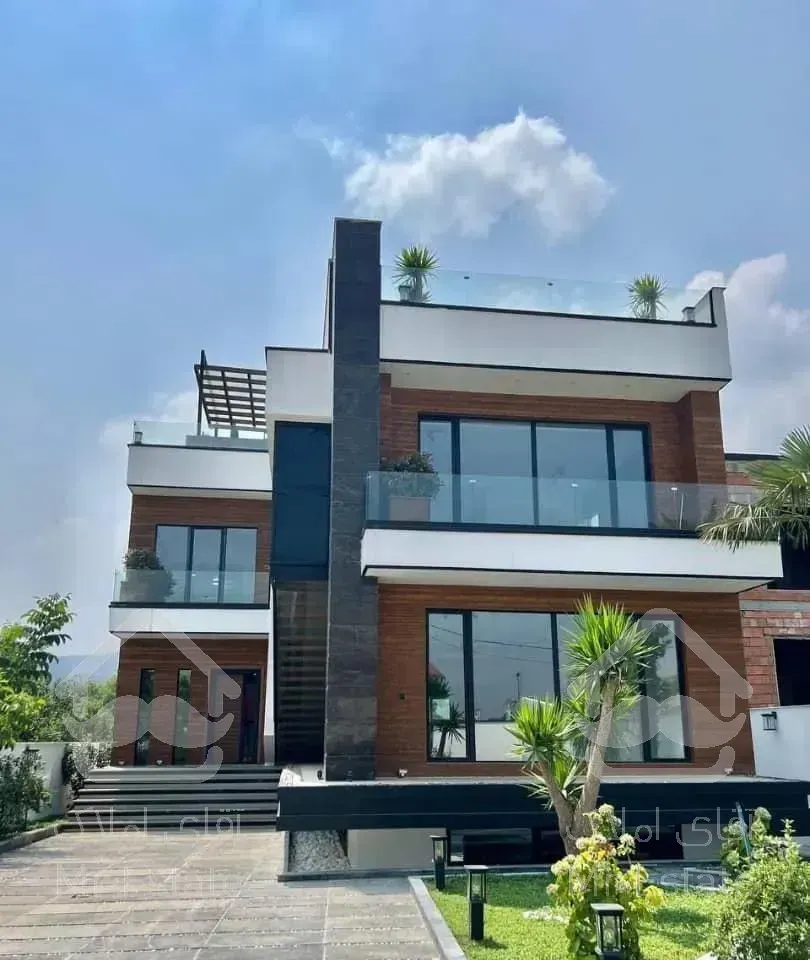 مدرن و  سند تک برگ در چمستان