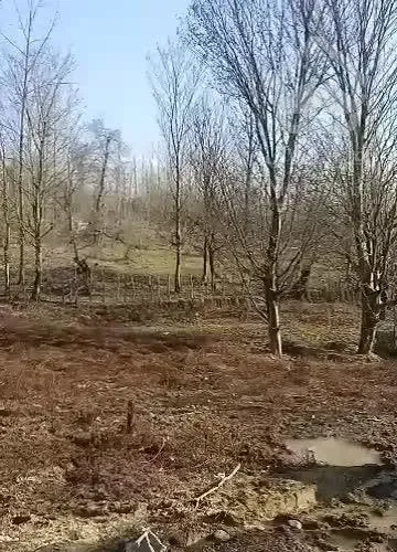 ویلای کلید نخورده جنگلی