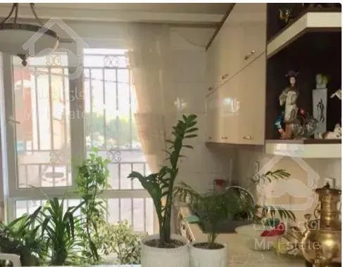 55 متر یک خواب شهران طوقانی