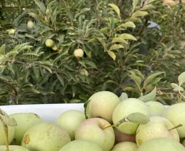 بومهن شهرک کشاورزی ۷۰۰ متر دوبر خوش قواره