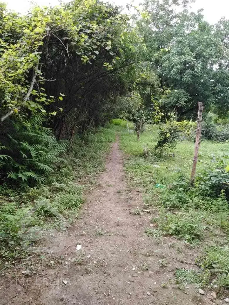 فروش اوکازیون باغ با همه امکانات برق . آب . گاز شهری . تلفن . در منطقه ای فوق العاده آرام 