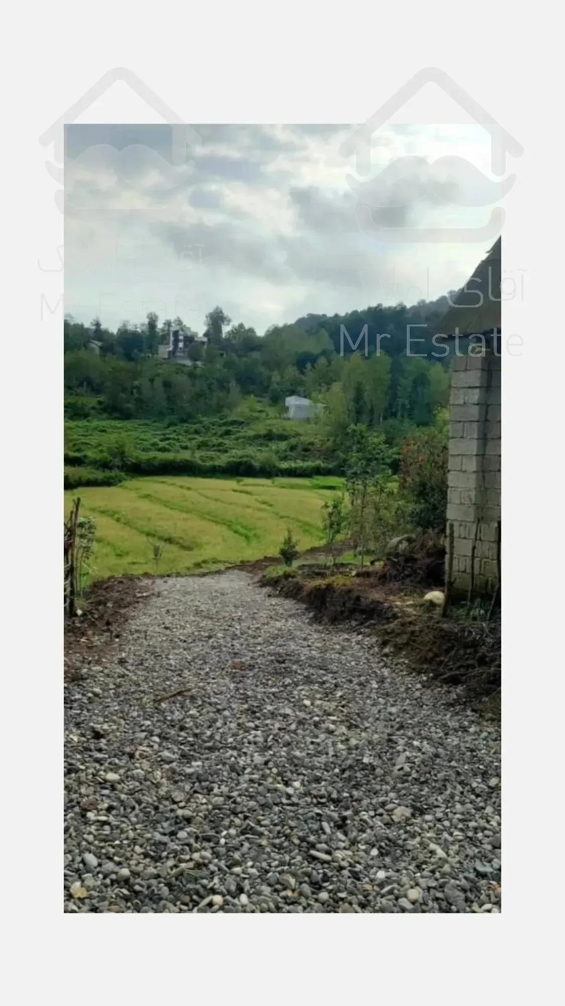 زمین ۶۰۰ متری