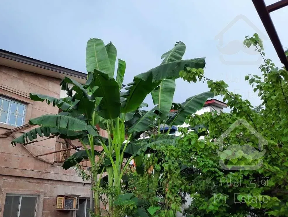 ویلا اجاره بین آمل ومحمود آباد