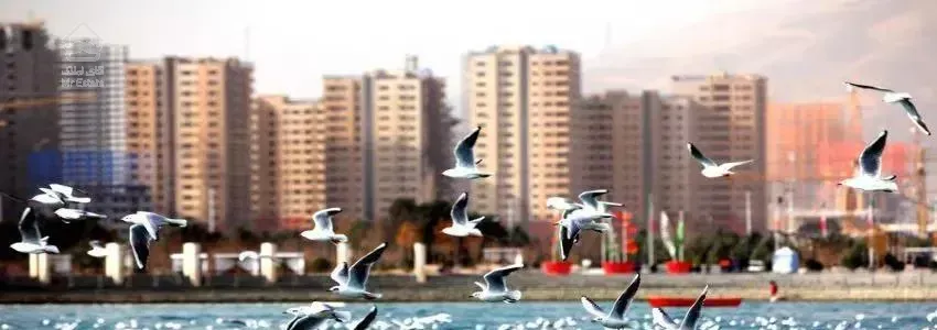۷۲ متر پرداختی ۱۰۲۰۰