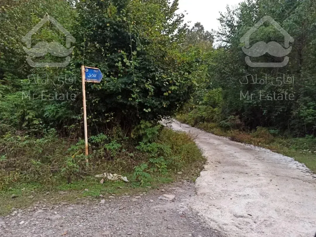 شخصی ویلا جنگلی