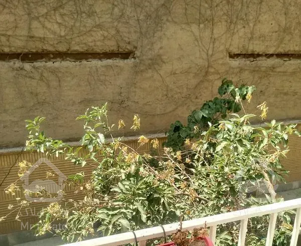 52 متری خوش نقشه  دسترسی