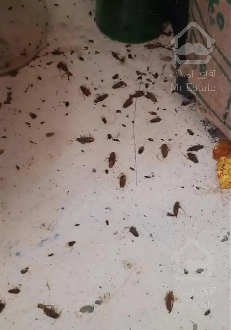 سمپاشی وهرس  با ضمانت صد درصد سم سوسک* ساس* سمپاش