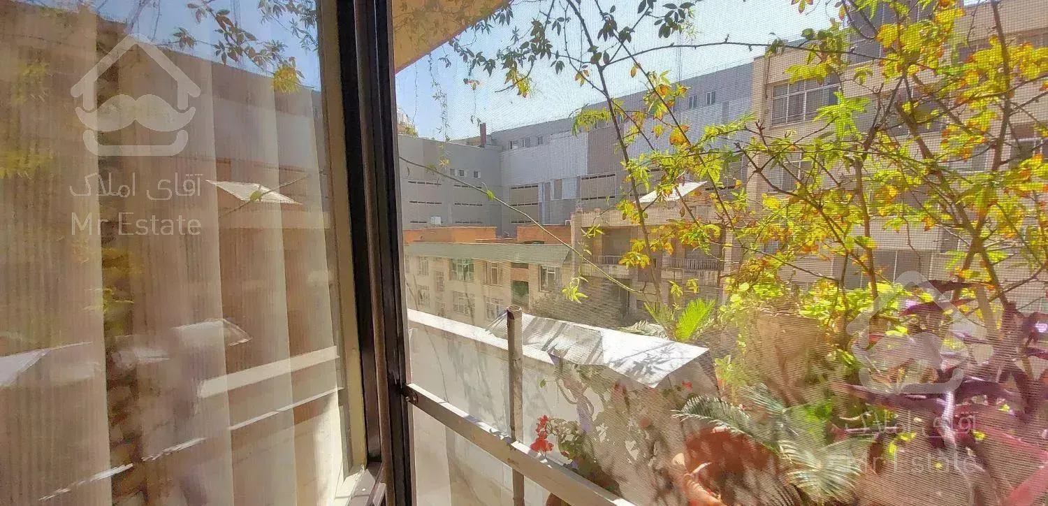 ۱۵۰ متر تک واحدی امیرآباد