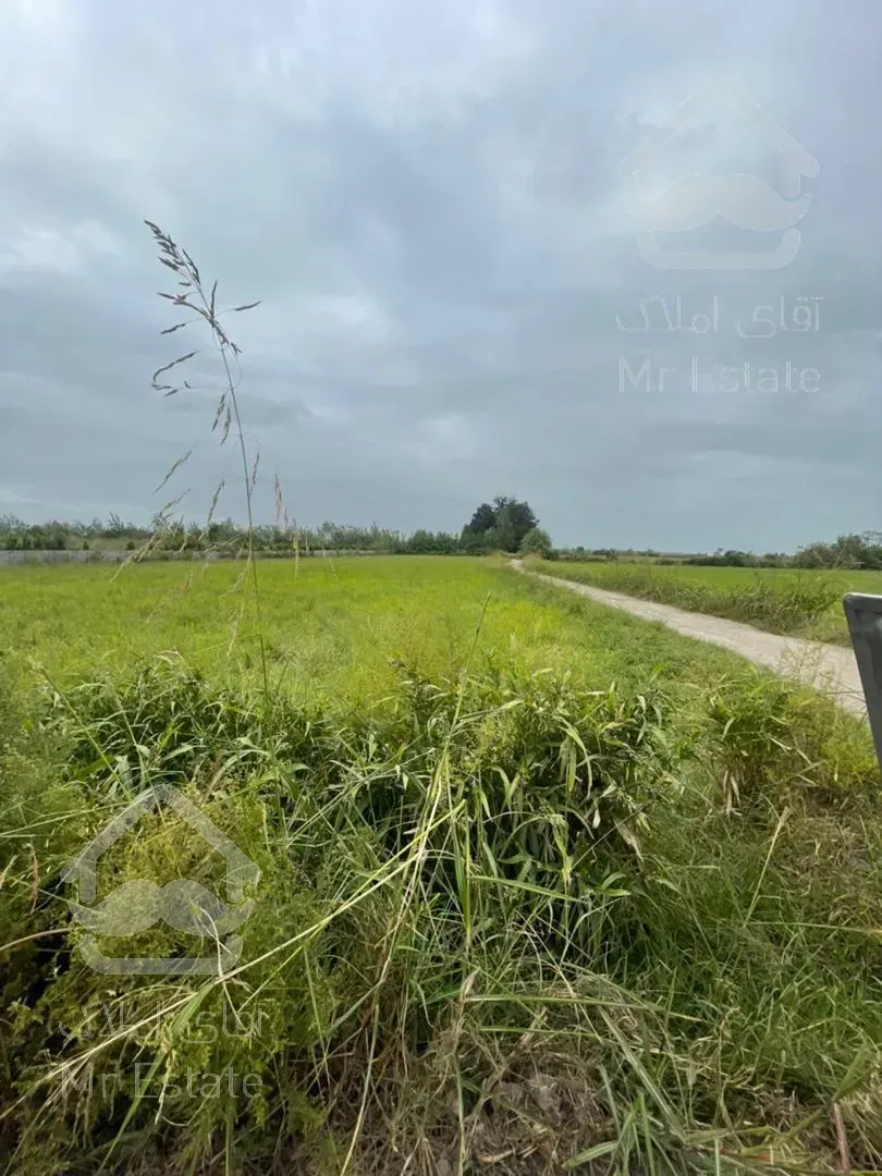 فروش زمين كشاورزي ٤٠٠٠ متري موقعيت استثنائي