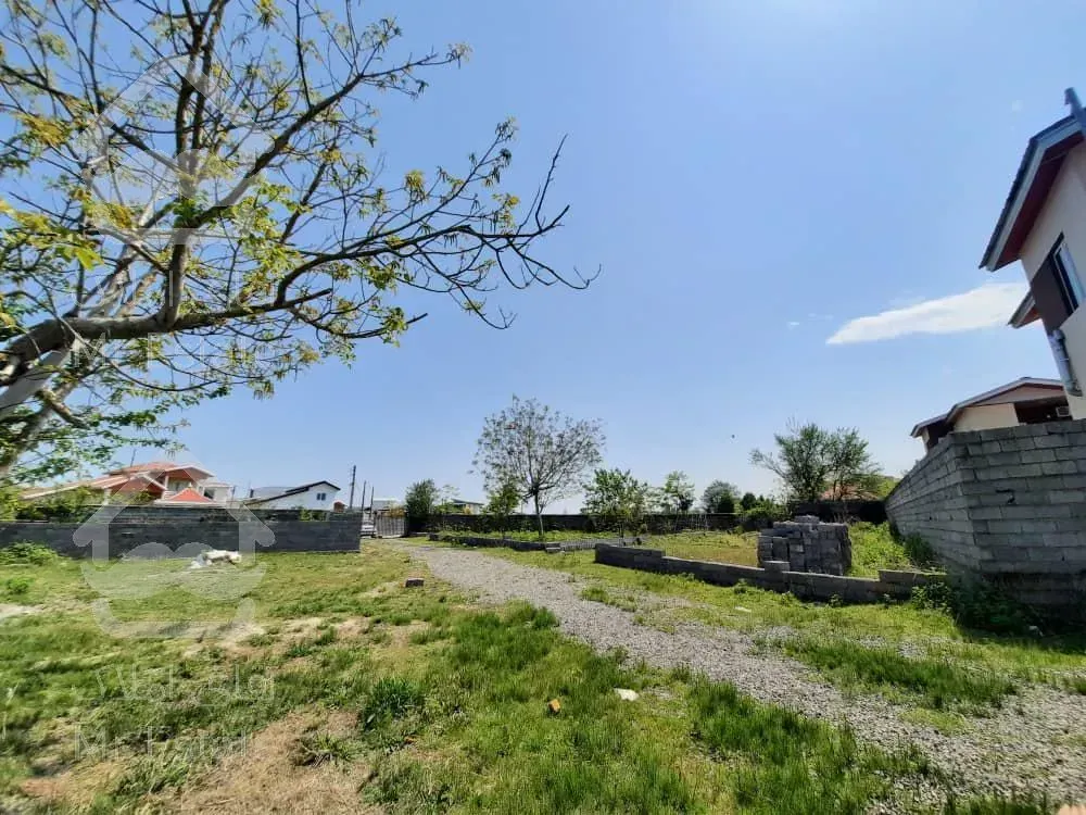 خرید زمین ۳۰۰ متری نور