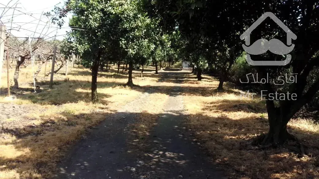 فروش باغ مرکبات و کیوی با قابلیت شهرک سازی