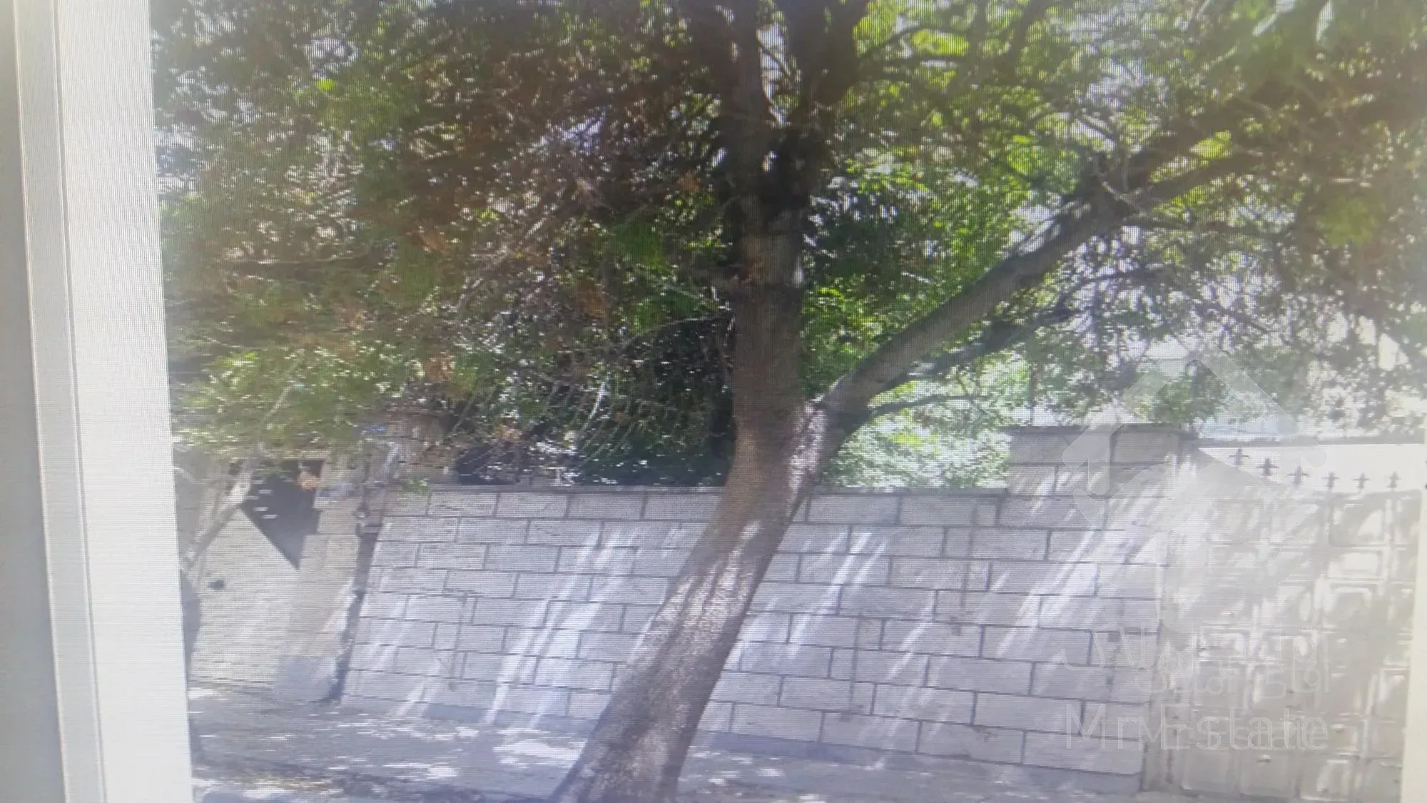 خرید و فروش کلنگی 250 متری بر 10 جنوبی