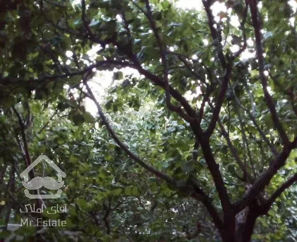 فروش باغ 1400 متری