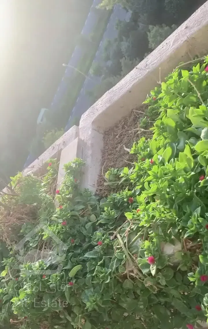 شهرک‌امید/انتخابی‌برتر/خط‌یک‌جنگل