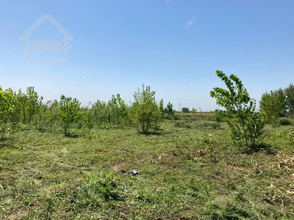 فروش زمین ۱۵۱۰متری در فاصله ی ۱۰دقیقه ی رشت