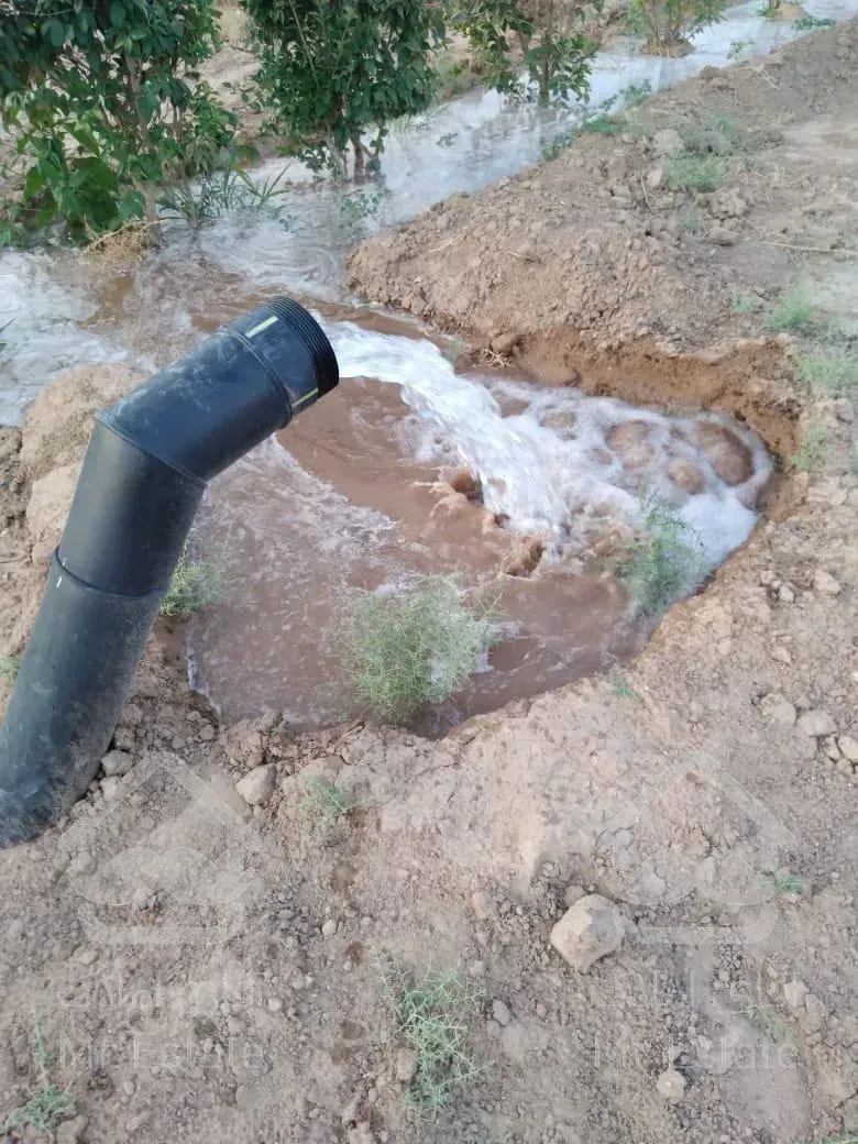 ۳۵۰مترزمین سنددار باغ وباغچه سهیلیه زعفرانیه اقبالیه