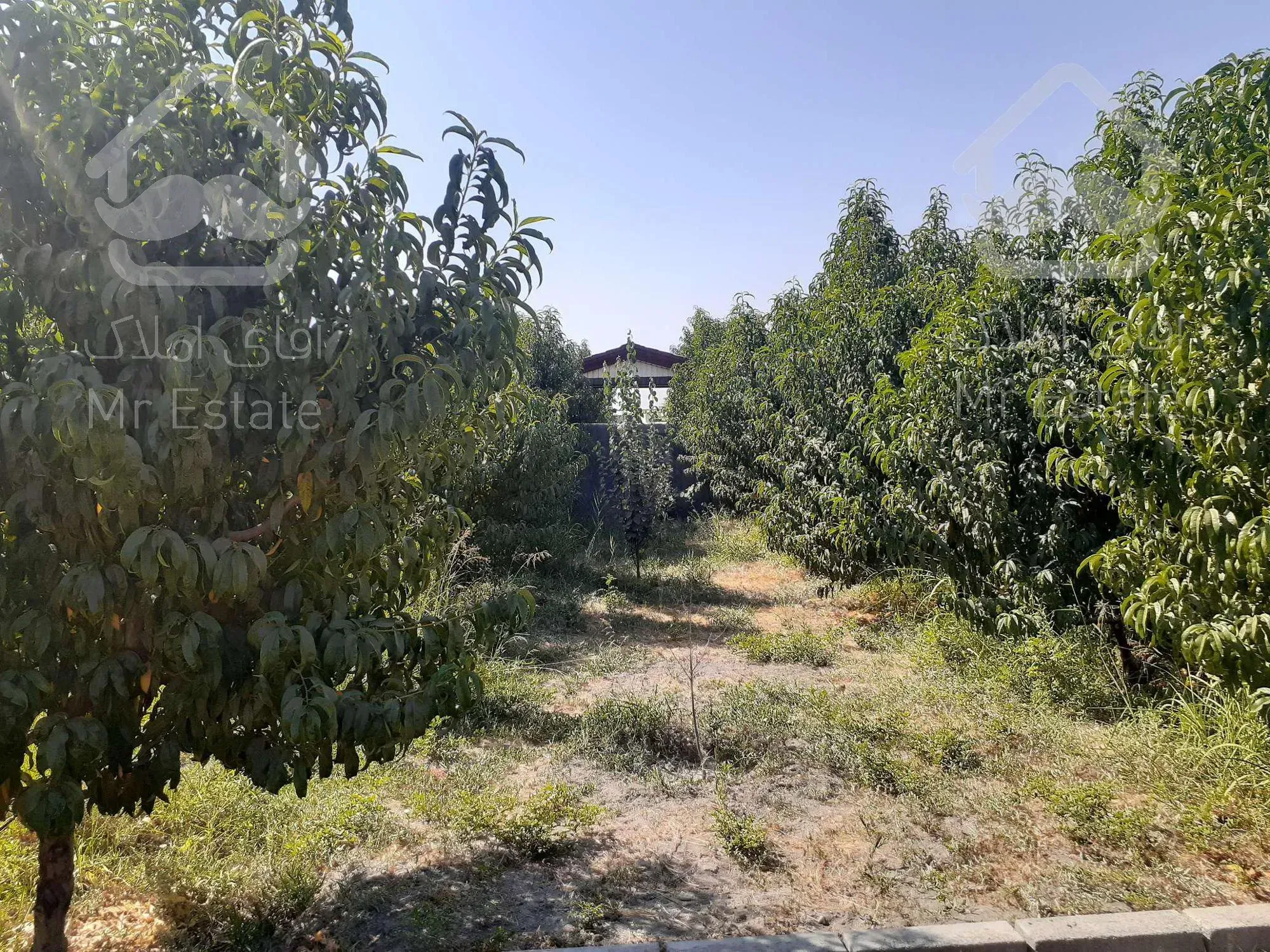 فروش باغ در جاده ارومیه - مهاباد