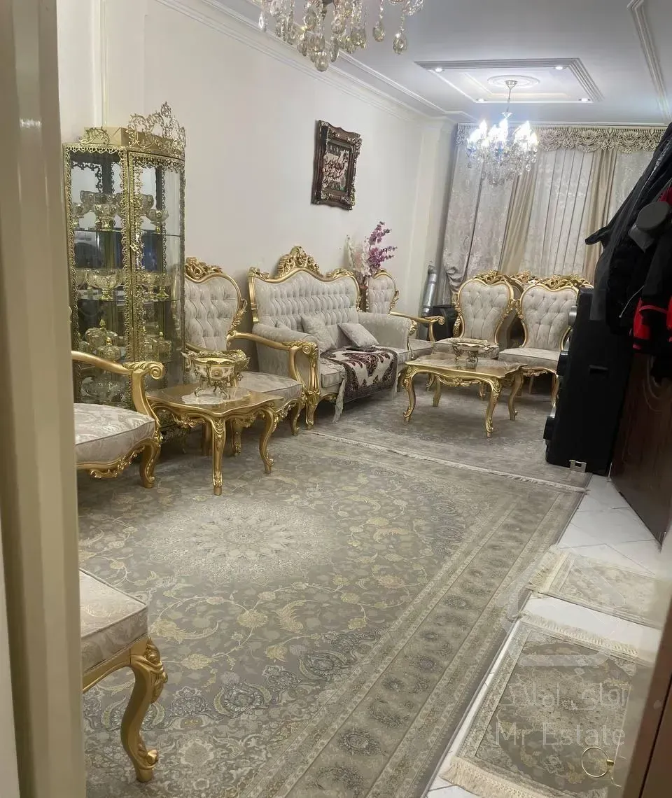 ۶۰ متری/تک واحدی(فول دیزاین)/نواب