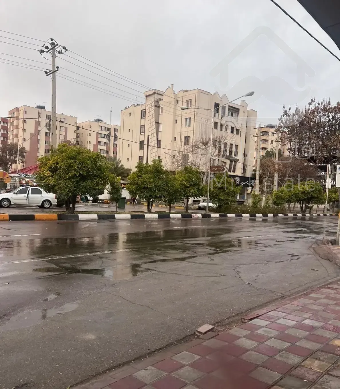 سوییت ۶۰ متری - ادبیات