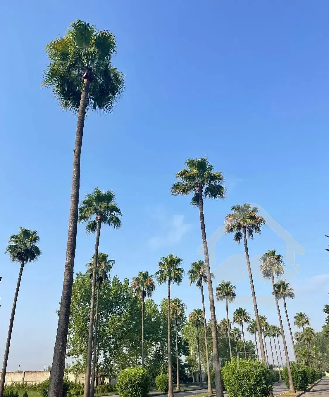 فروش ویلا استخردار بر بلوار ۳۵ متری خزرشهر جنوبی